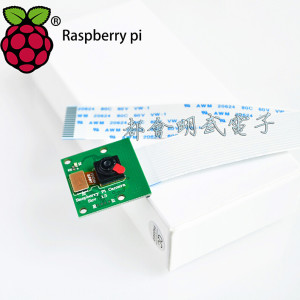 Raspberry Pi Camera